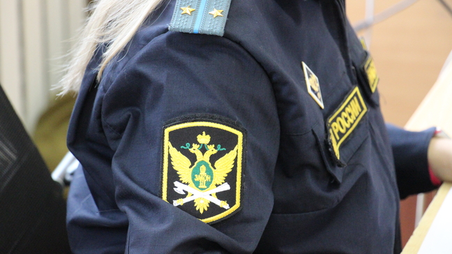 Компьютерные технологии спасли должника от неприятного сюрприза на границе